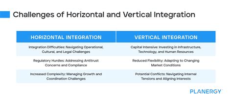 Facing the Challenges of Vertical Integration in the .